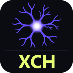 Detailed iKnow Blockchain synapse with XCH ticker